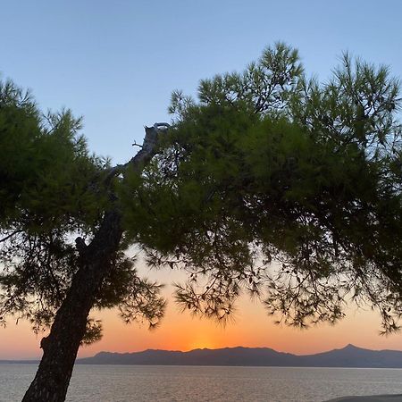 Rosys Little Village Skala  Bagian luar foto