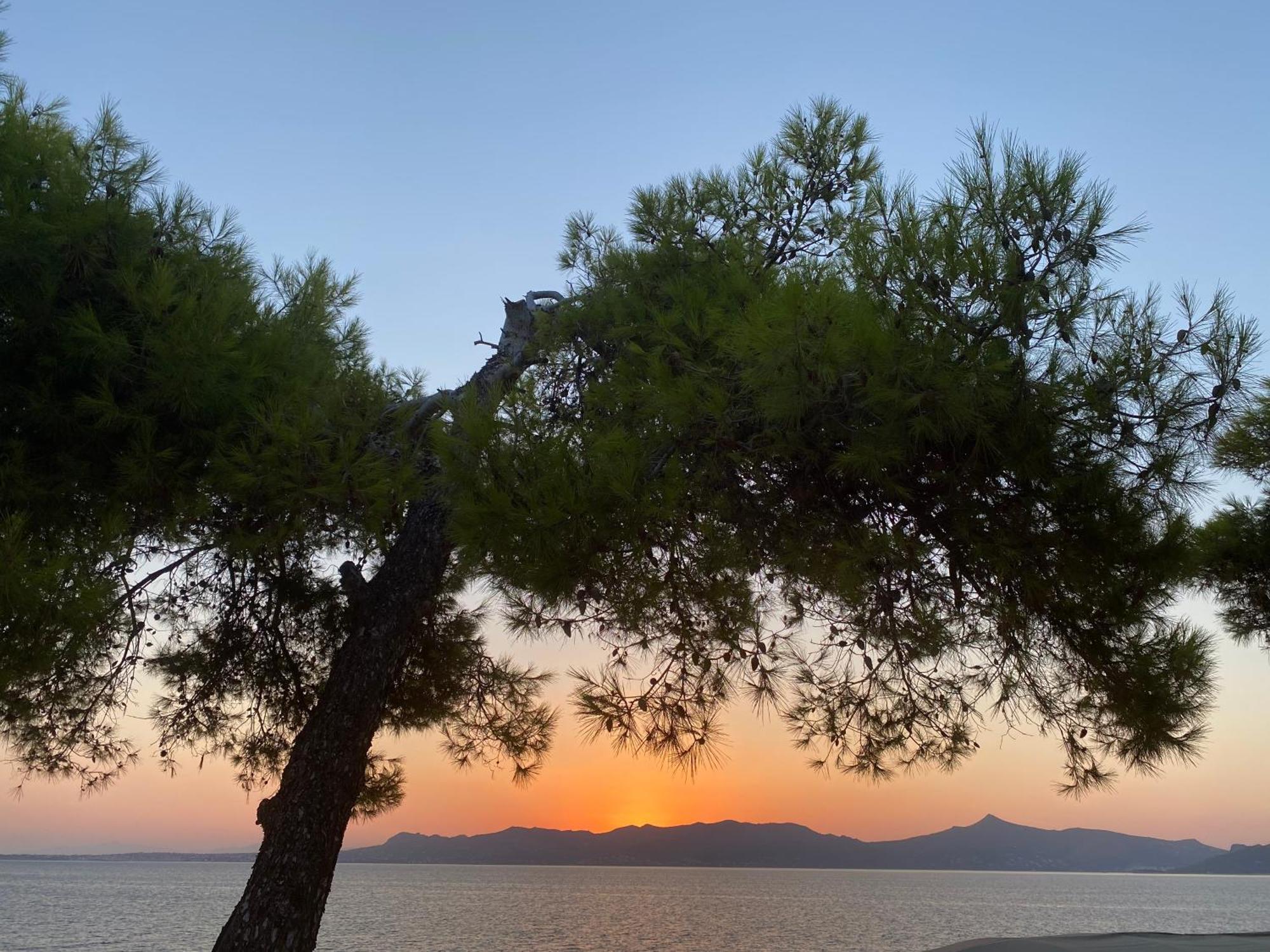 Rosys Little Village Skala  Bagian luar foto