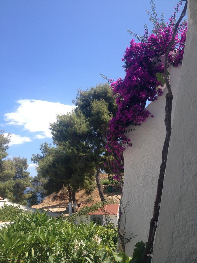 Rosys Little Village Skala  Bagian luar foto