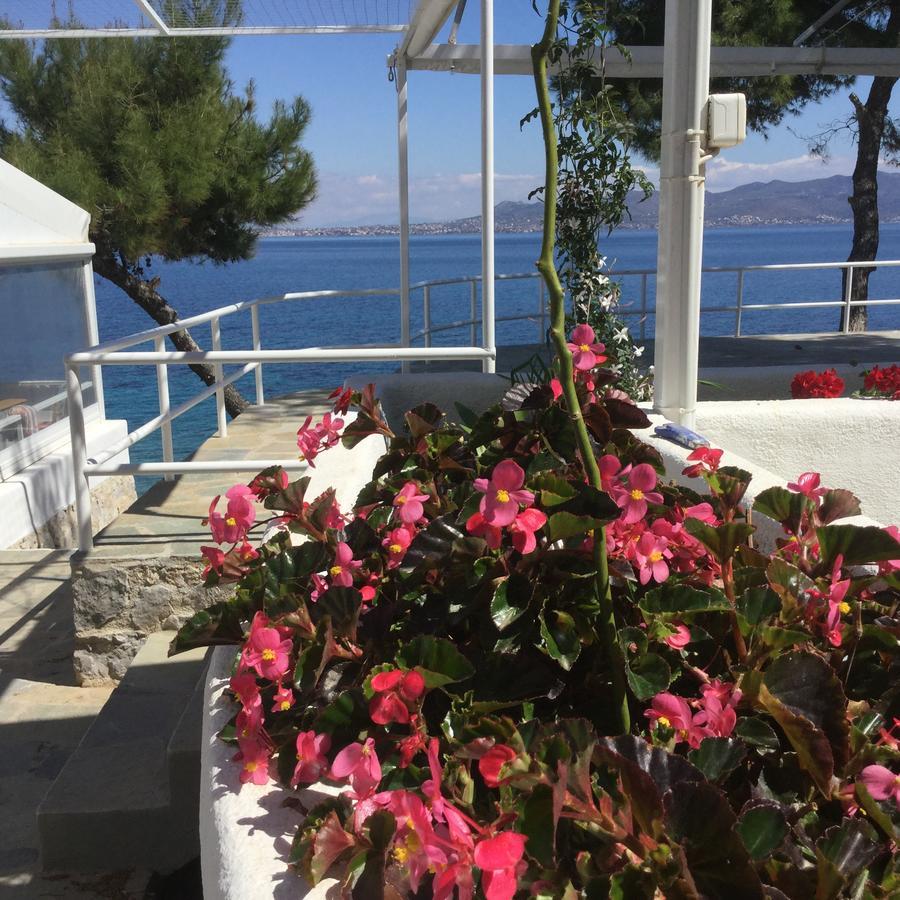 Rosys Little Village Skala  Bagian luar foto
